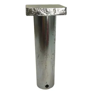 Pen