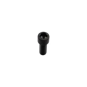 Inbusbout - M16x2x40 - 10.9