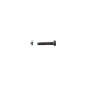 Zeskantbout M8x1,25x40 met borgmoer
