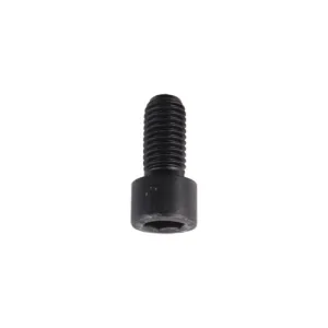 Inbusbout M12x1,75x25