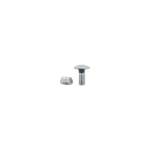 Slotbout M10x1,5x25 met borgmoer