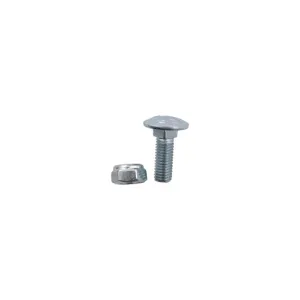Slotbout M10x1,5x30 met borgmoer