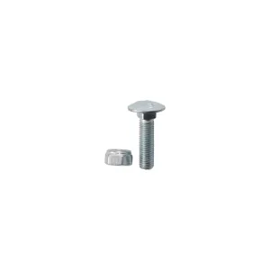 Slotbout M10x1,5x40 met borgmoer