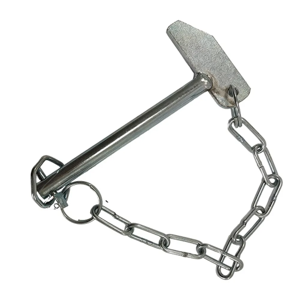 Angled front view with bag zipped and handles upright.