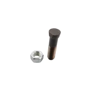 Ploegbout M16x2x65 met zeskantmoer