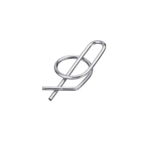 Borgveer