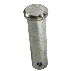 Pen