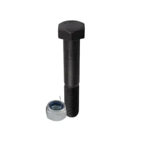 Zeskantbout M8x1,25x55 met borgmoer