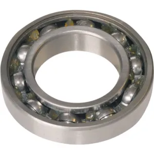 Taatslager 6210 RS