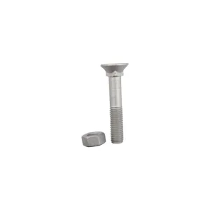 Ploegbout M12x1,75x70 en zeskantmoer