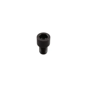 Inbusbout - M20x2,5 - 10.9