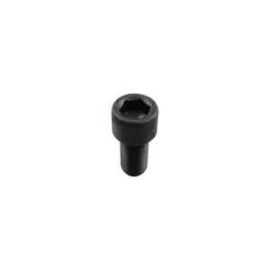 Inbusbout - M20x2,5 - 10.9
